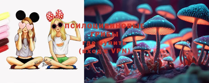 Псилоцибиновые грибы MAGIC MUSHROOMS  Протвино 